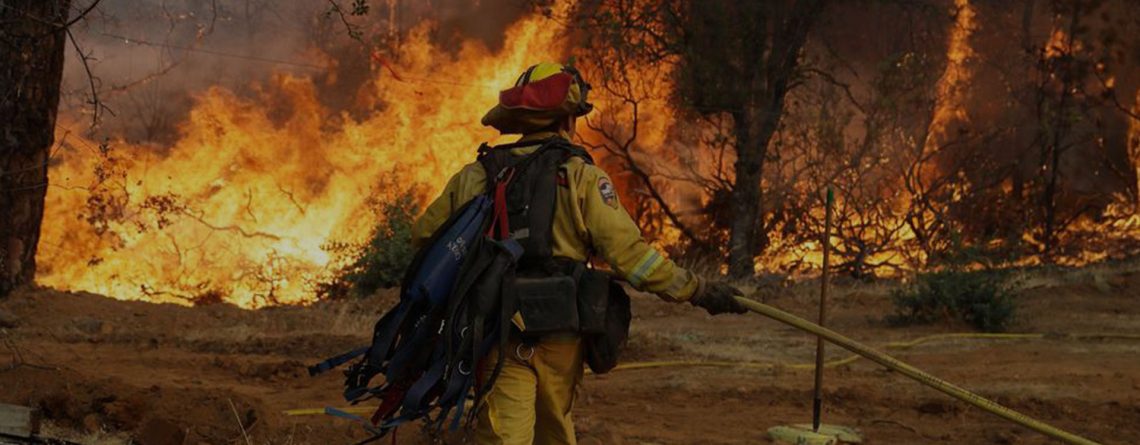 Do We Need More Low-Intensity Fires? Scientists Say We Do