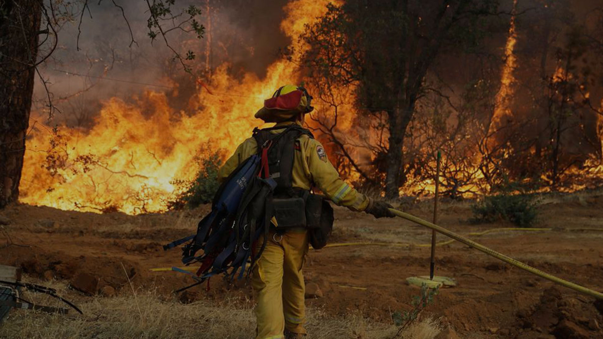 Do We Need More Low-Intensity Fires? Scientists Say We Do