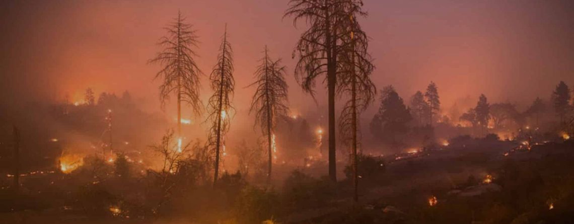 Establishing Negligence on Behalf of PG&E